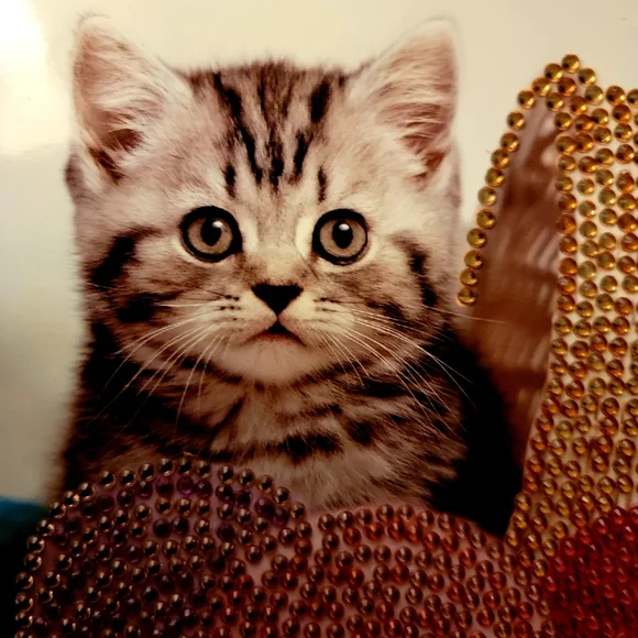 Kitty Playing in Yarn Basket Greeting Card - Picture 9 of 12